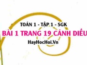 Bài 1 trang 19 Toán 12 tập 1 Cánh Diều